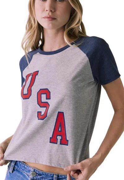 Chaser Usa Tee In Heather Grey In Gray