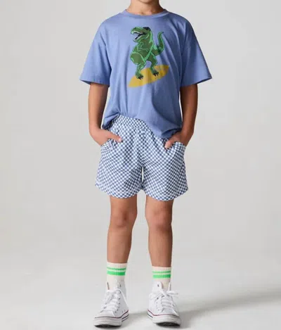 Chaser Kids' Vintage Jersey Check Beach Short In Blue