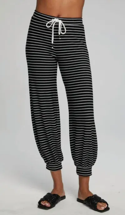Chaser Weekend Jogger In Black/white Stripe In Gray