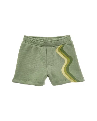 Chaser Wide Leg Short In Green