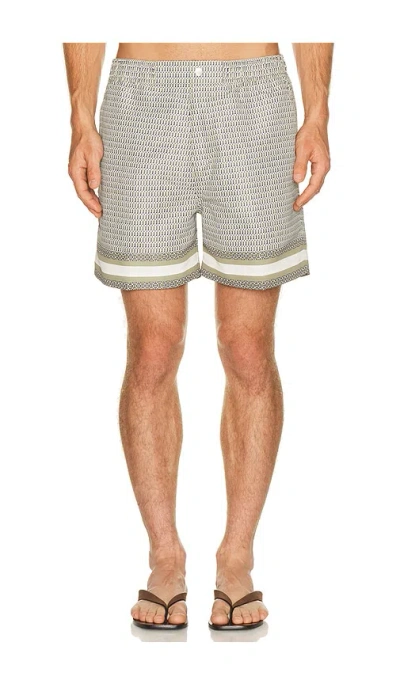 Che Berkeley Border Printed Swim Short In Gray