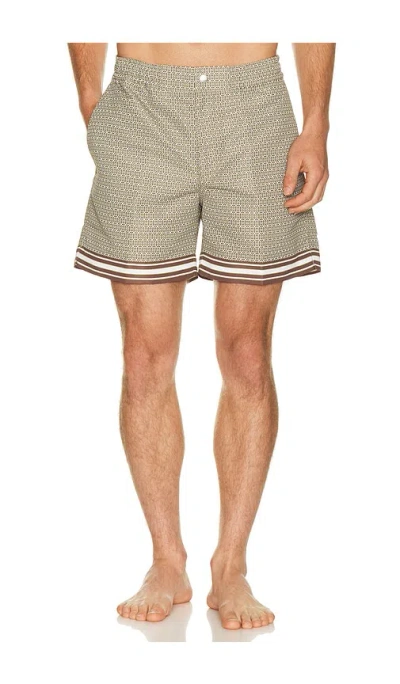 Che Lucena Printed Swim Shorts In Brown