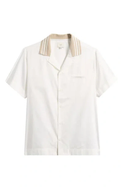 Che Senna Striped-collar Shirt In White