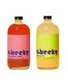 Cheeky Cocktails Cosmopolitan Set - 16oz