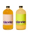 Cheeky Cocktails Margarita Set - 16oz