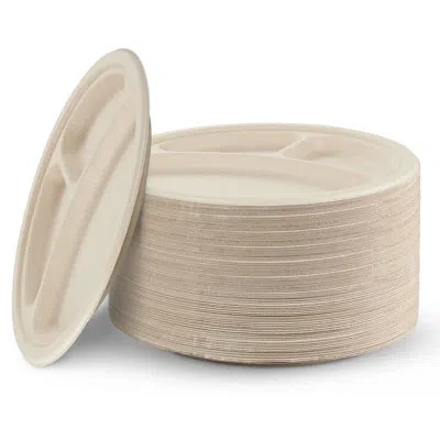 Cheer Collection Dinner Plate In Natural