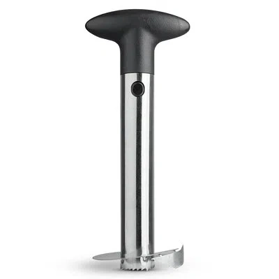 Cheer Collection Pineapple Corer In Silver