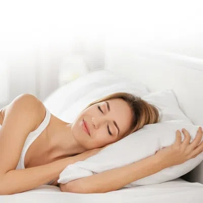 Cheer Collection Pl Down Alternative Plush Support Pillow In White