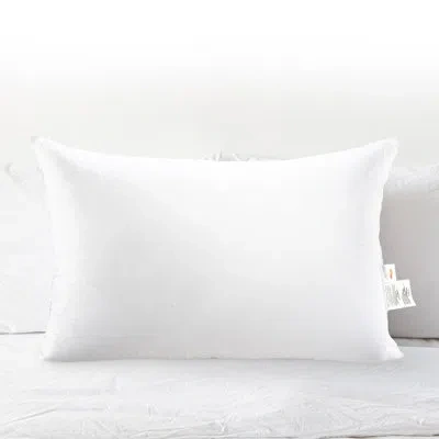 Cheer Collection Pl Pillow In White