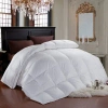 Cheer Collection Wccmf Microfiber Comforter In White
