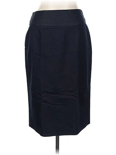 Pre-owned Chelsea & Theodore Formal Skirt In Blue
