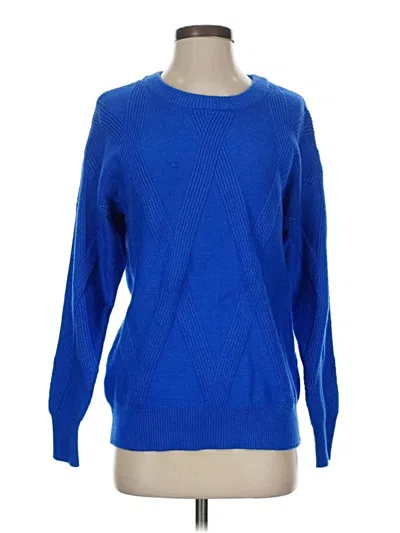 Pre-owned Chelsea & Theodore Pullover Sweater In Blue