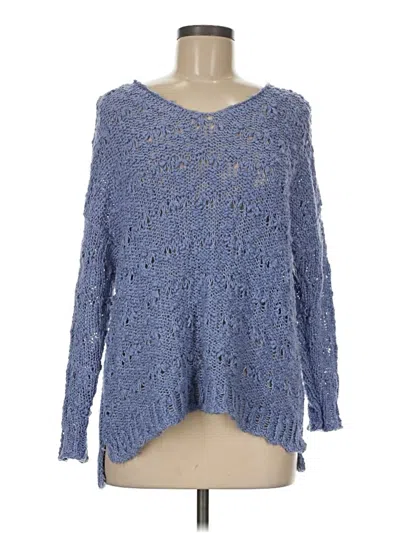 Pre-owned Chelsea & Theodore Pullover Sweater In Blue