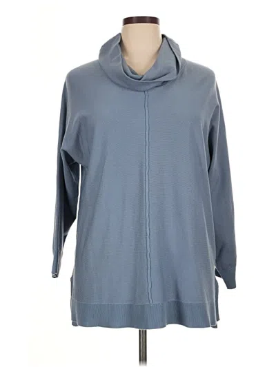 Pre-owned Chelsea & Theodore Sweatshirt In Blue