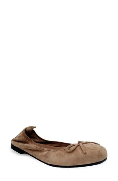 Chelsea Crew Jamie Ballet Flat In Brown