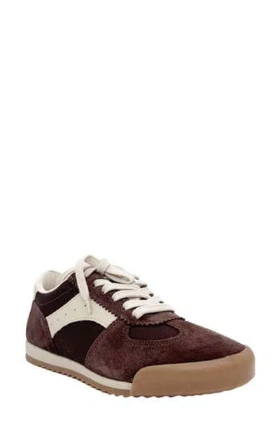Chelsea Crew Miami Sneaker In Brown