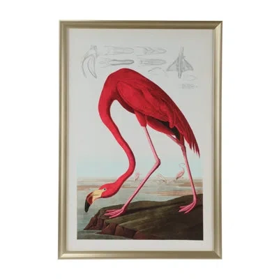 Chelsea House American Flamingo - Single Picture Frame Print On Giclee In Brown;red;cream