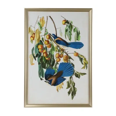 Chelsea House Audubon Blue Jay Ii - Single Picture Frame Print On Giclee In Blue;brown;green