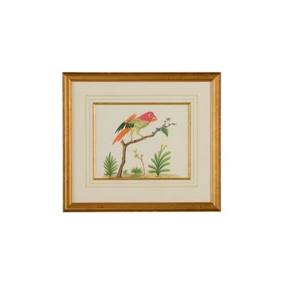 Chelsea House Bird - Picture Frame Painting On Paper In Green;beige