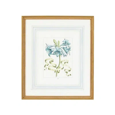 Chelsea House Blue Floral With Ribbon C - Picture Frame Graphic Art In Blue;white;green