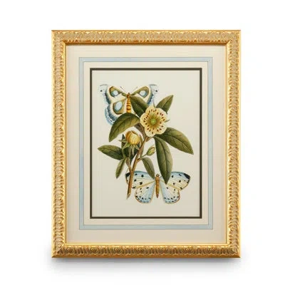 Chelsea House Butterfly Oasis I - Picture Frame Graphic Art In Green;yellow