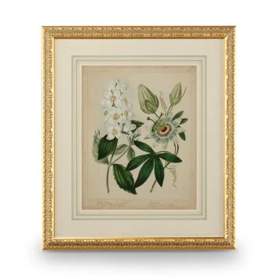 Chelsea House Cottage Florals Ii - Picture Frame Painting In Green;beige