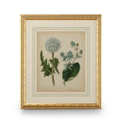 Chelsea House Cottage Florals Iii - Picture Frame Painting In Green;beige