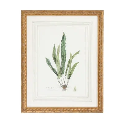 Chelsea House Curtis Ferns Iv - Picture Frame Graphic Art On Fabric In Green