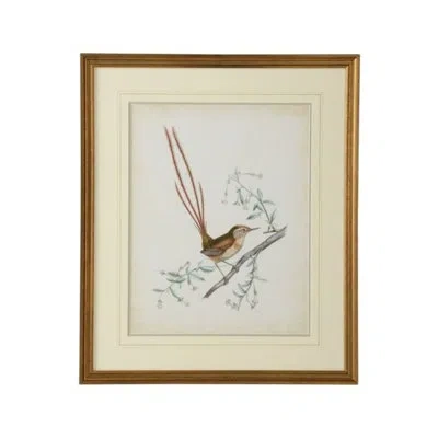 Chelsea House Delicate Birds I - Picture Framed Painting In Beige