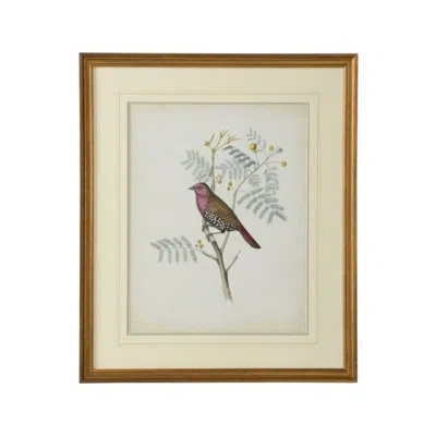 Chelsea House Delicate Birds Ii - Picture Frame Graphic Art In Green;pink