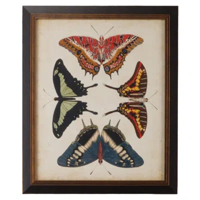 Chelsea House Display Of Butterflies Ii - Picture Frame Graphic Art In Blue;black;pink