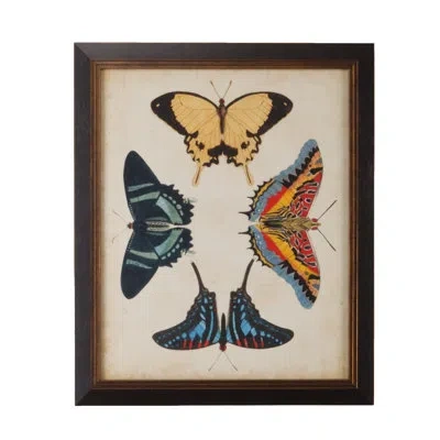 Chelsea House Display Of Butterflies Iii - Picture Frame Graphic Art In Blue;red;yellow