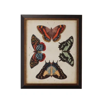 Chelsea House Display Of Butterflies Iv - Picture Frame Graphic Art In Black;green;red