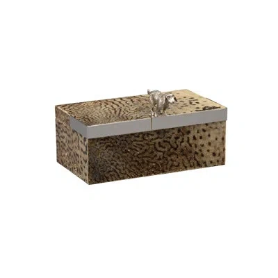Chelsea House Duke Decorative Box In Brown;beige