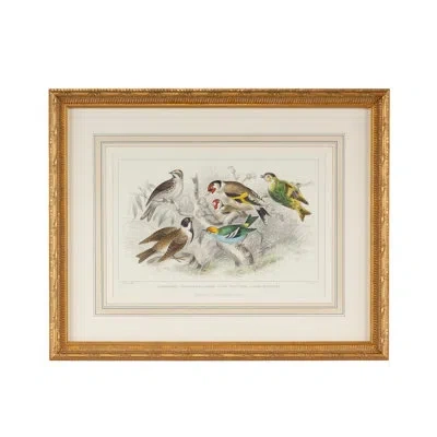 Chelsea House Finch Bunting And Wrens - Picture Frame Painting In Brown;green