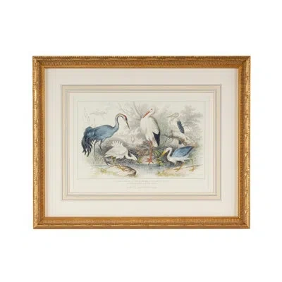 Chelsea House Herons Egrets & Cranes - Picture Frame Painting In Blue;white