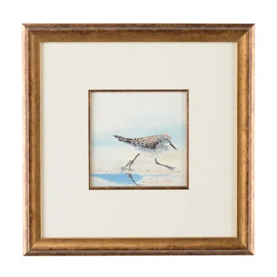 Chelsea House Lisa Kahn Sand Piper Iv - Picture Frame Watercolor Painting In Brown;white