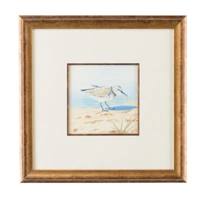 Chelsea House Lisa Kahn Sand Piper Vi - Picture Frame Watercolor Painting In Blue;beige