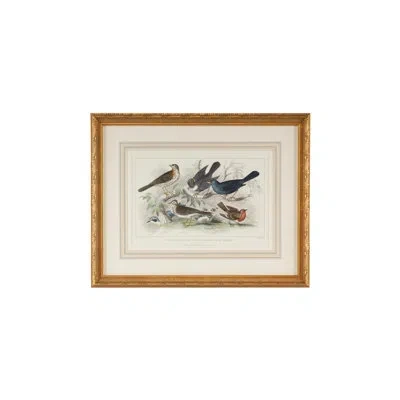 Chelsea House Skylark Song Thrush And R/breast - Picture Frame Painting In Blue;brown;gray