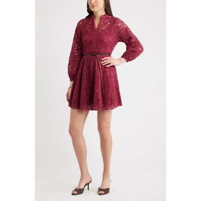 Chelsea28 Lace Long Sleeve Minidress In Brown