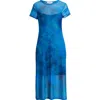 Chelsea28 Printed Mesh Midi Dress In Blue Multi