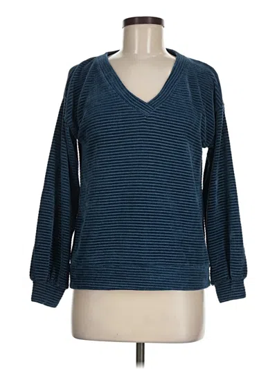 Pre-owned Chenault Pullover Sweater In Blue