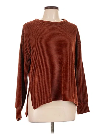 Pre-owned Chenault Pullover Sweater In Brown