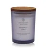 Chesapeake Bay Candle Serenity + Calm (lavender Thyme)  Medium Jar, 8.8 oz