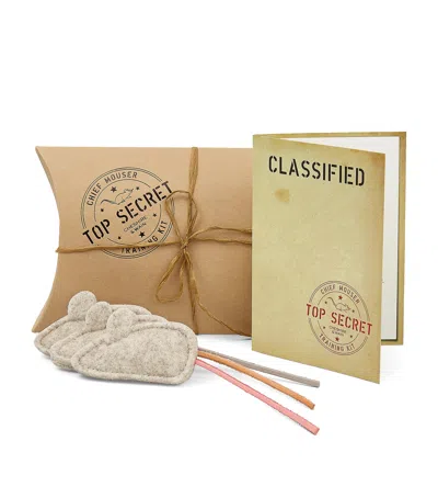 Cheshire & Wain Chief Mouser Training Kit Cat Toy In Neutral