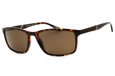 Chesterfield Ch11s Sunglasses In Brown