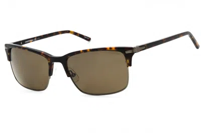 Chesterfield Ch16s Sunglasses In Brown