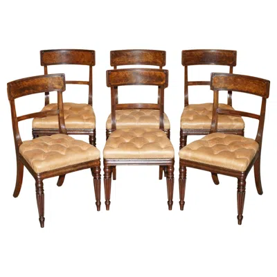 Pre-owned Chesterfield Six Fine Antique Regency 1820 Brown Leather Hardwood  Dining Chairs