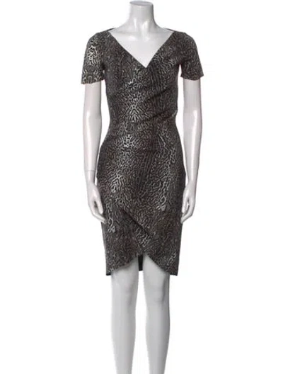 Pre-owned Chiara Boni Animal Print Knee-length Dress In Brown