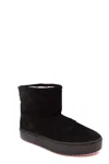 Chiara Ferragni Eyelike Ankle Boots In Black